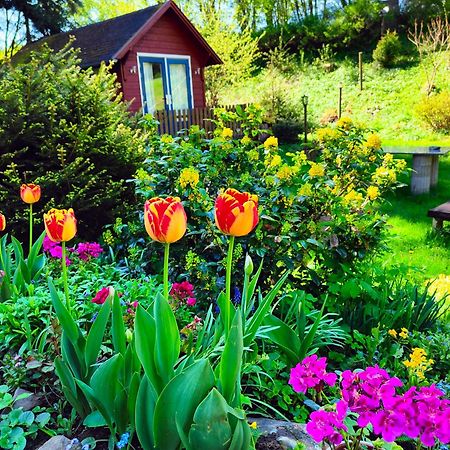 Bed And Breakfast Tvrz Velká Bukovina Exterior foto
