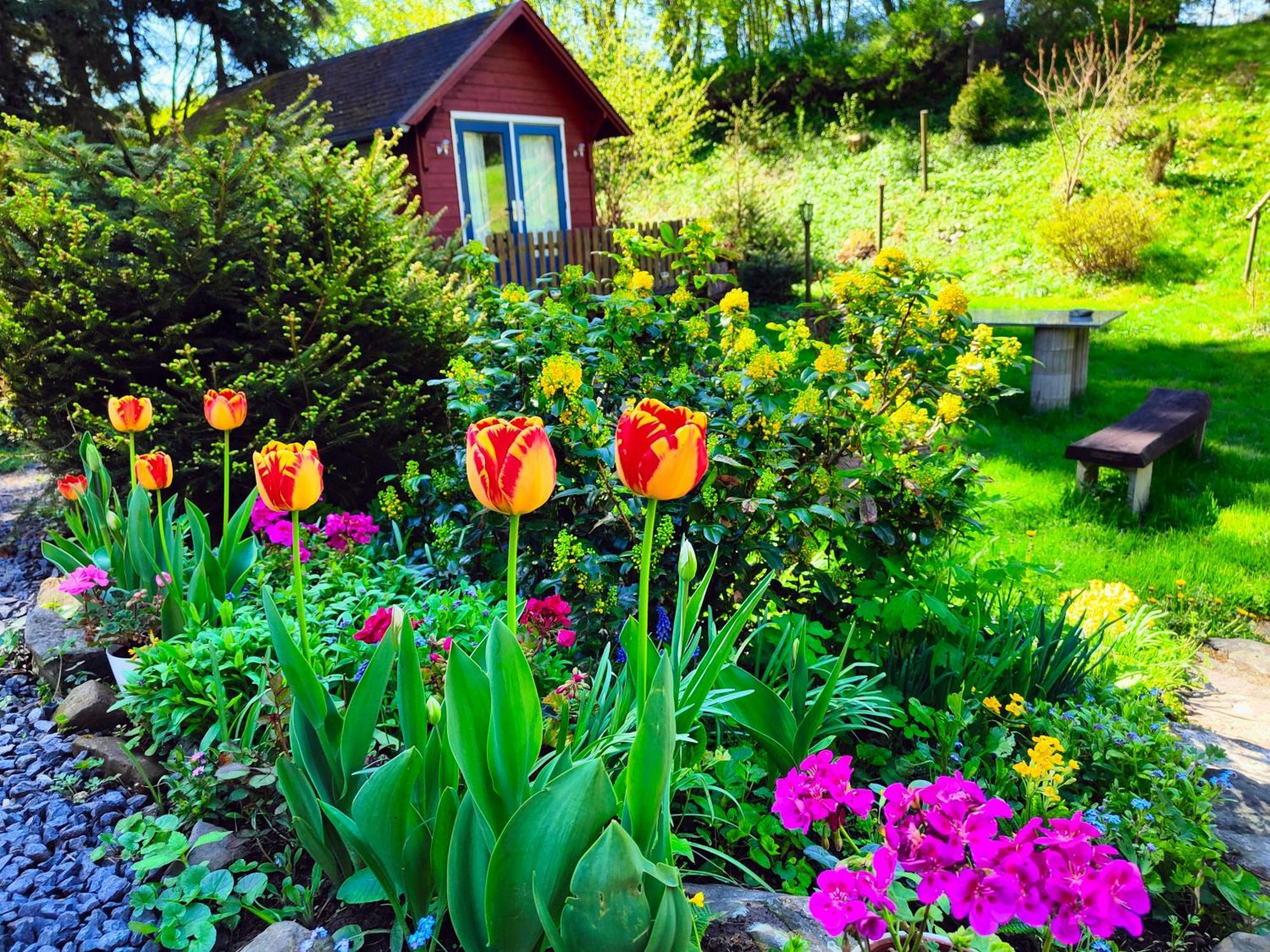Bed And Breakfast Tvrz Velká Bukovina Exterior foto